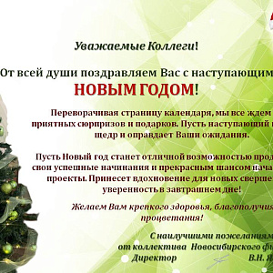 Поздравляем с наступающим Новым годом!